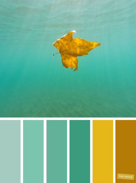 Green and yellow color combination #color #yellow #green Color Scheme Yellow, Teal Color Palette, Yellow Color Combinations, Green Color Combinations, Brown Color Schemes, Sea Green Color, Yellow Colour Scheme, Color Palette Yellow, Green Things