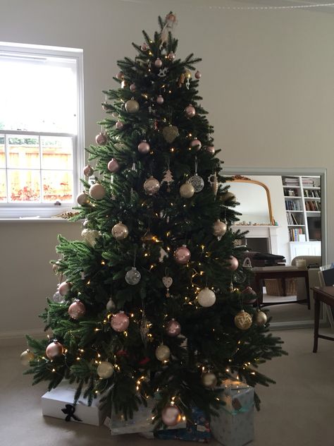 Traditional Christmas tree. Pale pink, cream, gold baubles and wooden decorations. Warm white fairy lights. Gold Baubles, Christmas Tree Inspo, Warm White Fairy Lights, White Fairy Lights, Wooden Decorations, Tree Inspiration, Baubles Christmas, White Fairy, Christmas Tree Inspiration