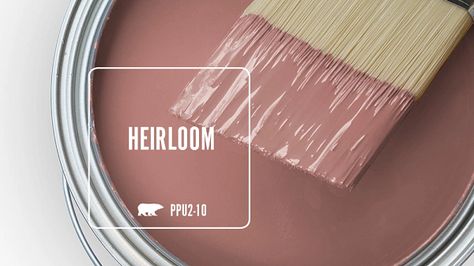 HEIRLOOM PPU2-10 | Behr Paint Colors Rose Color Paint Bedrooms, Behr Paint Colors For Girl Nursery, Behr Paint Colors Pink, Behr Dusty Rose, Behr Paint Colors For Living Room, Behr Retro Pink, Behr Rumors Paint, Behr Mauve Paint Colors, Behr Blush Pink Paint Colors