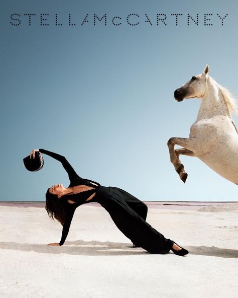 Stella Mcartney, Horse Photography Poses, Harley Weir, Album Cover Wallpaper Collage, Horse Inspiration, Grad Photoshoot, Stella Mccartney Bag, White Horses, Equine Photography