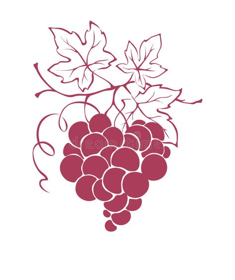 Graphic illustration - grapes in the shape of a heart stock illustration Grapes Illustration, Grape Illustration, Heart Illustration, The Shape, Design Element, A Heart, Graphic Illustration, Stock Illustration, Illustration Design