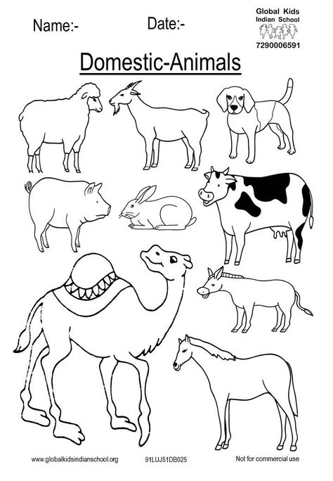 Domestic Animals Drawing, Domestic Animals Worksheets, Shiva Drawings, Teaching Kids Letters, Animal Coloring Pages For Kids, Nursery Drawings, Farm Animals Preschool, Animals Name In English, Zoo Animal Coloring Pages