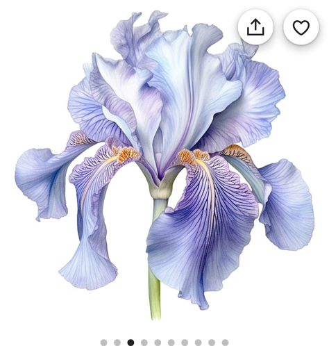 Iris Flower Tattoo, Iris Tattoo, Watercolor Art Lessons, Botanical Painting, Art Lessons, Watercolor Art, Coloring Pages, Paintings, Drawings