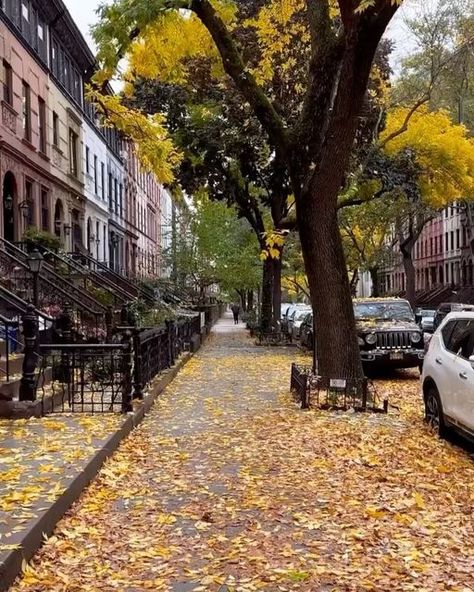 City In Autumn, Fall In Nyc, Autumn In New York, Visit Usa, Visiting Nyc, New York Life, Autumn Scenery, Best Seasons, Autumn Colors