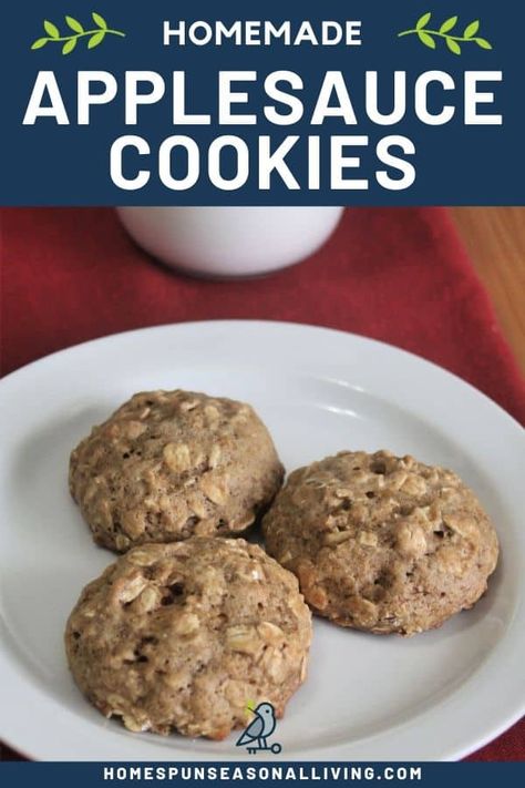 Make comforting and delicious applesauce cookies quickly and easily with ingredients likely already in the pantry. Get the full recipe and ideas for additions and more on our blog. #homemaderecipes #recipeideas #homemadecookies Applesauce Oatmeal Cookies, Applesauce Cookies Recipes, Recipe Using Applesauce, Applesauce Oatmeal, Easy Applesauce, Oatmeal Applesauce Cookies, Applesauce Cookies, Spiced Applesauce, Cozy Afternoon