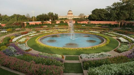 Sir Edwin Lutyens had finalised the designs of the Mughal Gardens at New Delhi’s Rashtrapati Bhavan as early as 1917, however, it was only during the year 1928-1929 that plantings were done. Spread over a vast expanse of 15 acres, Mughal Gardens has often been portrayed, and deservedly so, as the soul of the Presidential Palace. Mughal Garden, Indian Garden, Air India, Bench Plans, Retirement Community, Better Homes And Garden, Backyard Inspo, Landscape Pictures, Floor Patterns