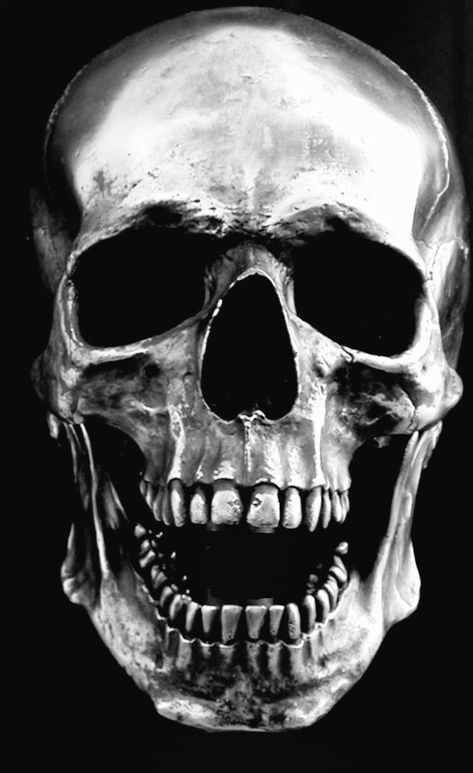 Skull Head Tattoo Design, Open Mouth Skull Tattoo, Eye And Skull Tattoo, Skull Looking Down, Skull Looking Up, Realistic Skull Tattoo Design, Skull Open Mouth, Realistic Skull Tattoo, Skull Photography