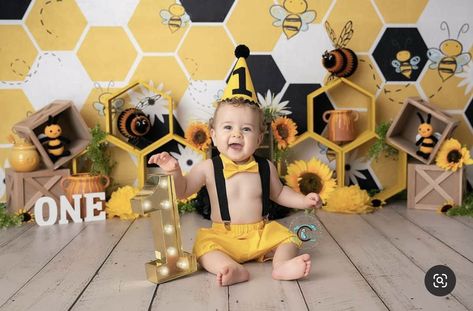 Bee Theme Photoshoot, Honey Bee Photoshoot, Bee Cake Smash Photoshoot, Bee Photoshoot, Rocket Ship Birthday Party, Bumble Bee Birthday, Bee Cakes, Cute Couple Drawings, Smash Cake Photoshoot