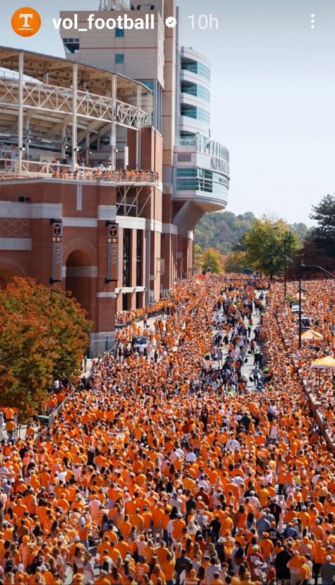 Ut Cheerleaders, Tennessee Wallpaper, Tennessee College Football, U Of Tennessee, Tn Vols Football, Univ Of Tennessee, Tennessee College, University Of Tn, Tn Football