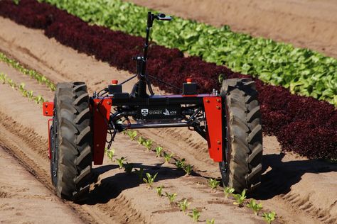 Robotics technology in agriculture provides new solutions for small-scale farmers Technology In Agriculture, Smart Farm, Farming Technology, Modern Agriculture, Smartphone Technology, Upcoming Cars, Chicken Cages, Agriculture Industry, Soil Testing