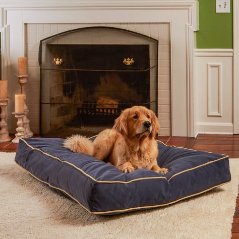 HAPPY HOUNDS Bailey Rectangle Pillow Dog Bed w/ Removable Cover, Denim, Medium - Chewy.com Diy Large Dog Bed, Dog Bed Pillow, Indoor Dog Bed, Pillow Dog Bed, Large Dog Bed, Round Dog Bed, Outdoor Dog Bed, Dog Bed Mat, Donut Dog Bed