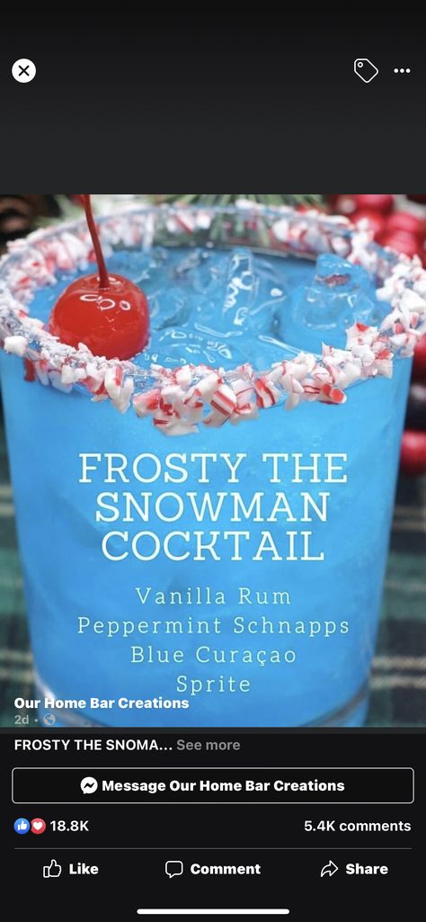 Snowman Cocktail, Frozen Mixed Drinks, Jungle Juice Recipe, Peppermint Schnapps, Vanilla Rum, Patriotic Food, Cocktail Photos, Purple Pumpkin, Mixed Drinks Alcohol