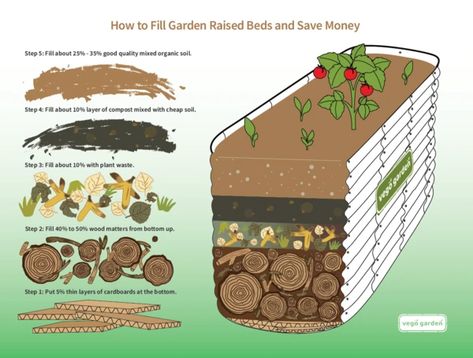 Garden Raised Beds, Backyard Vibes, Vego Garden, Raised Garden Beds Diy Vegetables, Raised Vegetable Gardens, Vegetable Garden Raised Beds, Diy Raised Garden, Backyard Vegetable Gardens, Raised Garden Beds Diy