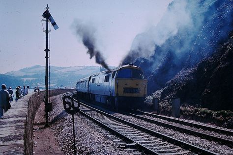 1033 Western Trooper explodes on Teignmouth sea wall. | Flickr Model Train Table, Garden Railway, Great Western Railway, Traction Engine, British Railways, My Notes, Western Region, South Devon, British Rail