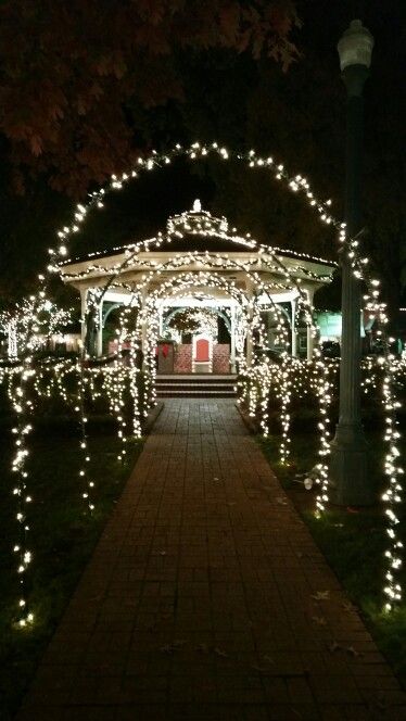 Quince Entrance Picture, Garden Theme Prom, Sweet 16 Entrance Ideas, Outdoor Quinceanera Ideas, Quince Entrance Ideas, Outdoor Quince, Champagne Quinceanera Theme, Quinceanera Entrance, Party Entrance Decoration