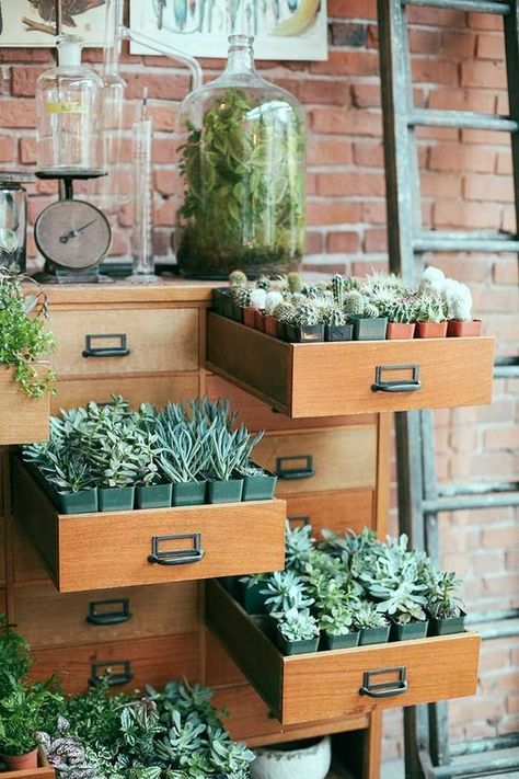 Plant Farmhouse Decor, Boho Small Business Ideas, Flowers Shop Ideas, Florist Shop Interior, Plant Bar, Garden Center Displays, Flower Shop Interiors, Flower Shop Design, Shop Small Saturday