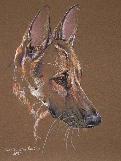 German Shepherd by Paulina Stasikowska Colored Pencil Artwork Ideas, Colored Pencil Artwork, Abstract Horse, Canine Art, Animal Sketches, Arte Animal, Color Pencil, Dog Drawing, Pastel Drawing