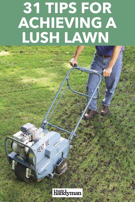 Lawn Renovation, Fall Lawn Care, Organic Lawn Care, Fall Lawn, Lawn Care Schedule, Growing Grass, Lawn Care Tips, Lush Lawn, Yard Care