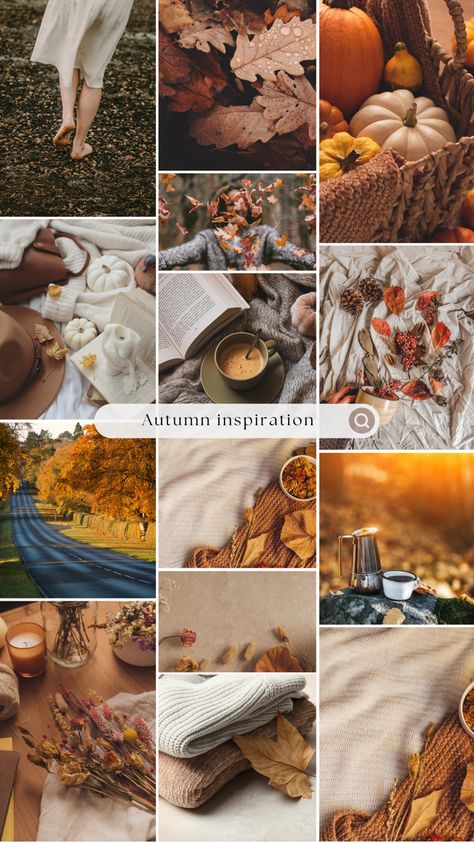 Autumn inspirations 🍁 Fall Mood Board, Fall Mood, Autumn Inspiration, Mood Board, Halloween