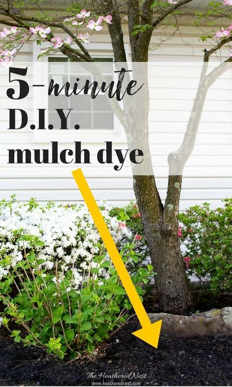 Cheap Mulch Alternatives, Mulch Patio Sitting Area, Mulch Yard Ideas, Mulch Glue Diy, Diy Mulch Glue Recipe, Sitting Area In Garden, Mulch Patio Ideas, Diy Mulch, Mulch Dye