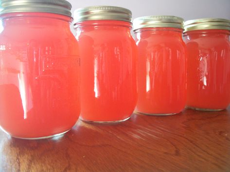 Lemon Ginger Drink, Rhubarb Juice, Making Jelly, Bread Yeast, Plum Juice, Slush Recipes, Wild Plum, Rhubarb Desserts, Ginger Drink