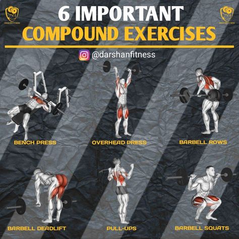 Want Big Gains Try This 6 Important Compound Exercises. #gym #compoundexercise #bodybuilding Chest Workout For Men, Compound Lifts, Gym Workout Guide, Gym Workout Plan For Women, Gym Workout Planner, Workout Routine For Men, Weight Lifting Workouts, Compound Exercises, Workout Plan For Women