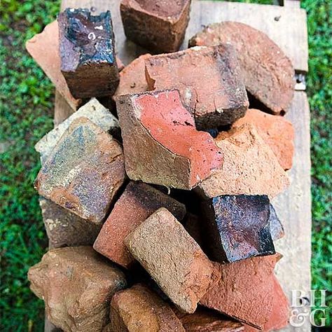 101267807 Repurposing Old Bricks, Repurposed Brick Patio, Repurposed Brick Ideas, Old Bricks Ideas Diy, Broken Brick Ideas, Reclaimed Brick Garden, Reclaimed Brick Patio, Big Leaf Plants, Brick Ideas