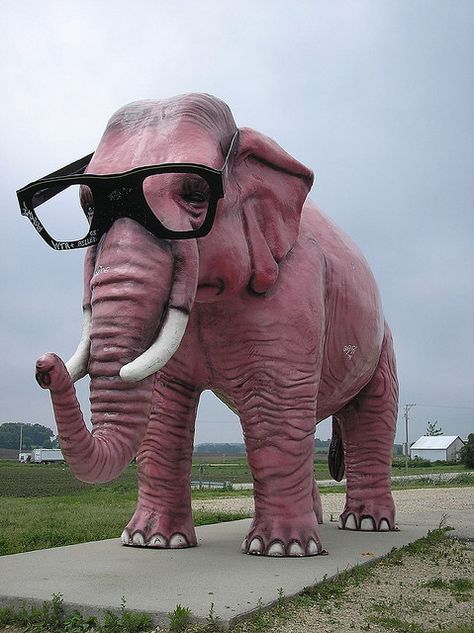 Wisconsin Travel, Street Marketing, Roadside Attractions, Geocaching, Pink Elephant, An Elephant, Travel Usa, Nebraska, Worlds Largest