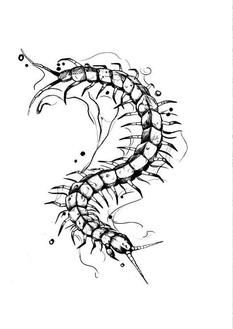 Sentapeed Tattoo, Centipede Tattoo Stencil, Small Centipede Tattoo, Centipede Illustration, Millipede Tattoo, Centipede Tattoo Design, Centipede Art, Centipede Design, Centipede Drawing