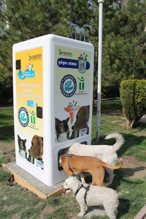 Vending Machine Design, Dog Feeding Station, Stray Animals, Cat Hotel, Dog Grooming Salons, Pet Hotel, Street Dogs, Stray Cats, Cat Feeder