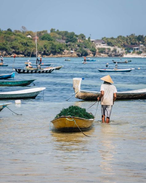 25 EPIC Things To Do In Nusa Lembongan Island - Bali 17 Lembongan Island Bali, Nusa Lembongan Bali, Lembongan Island, Nusa Ceningan, Nusa Lembongan, Tidal Pool, Bali Travel Guide, Banyan Tree, Hidden Beach