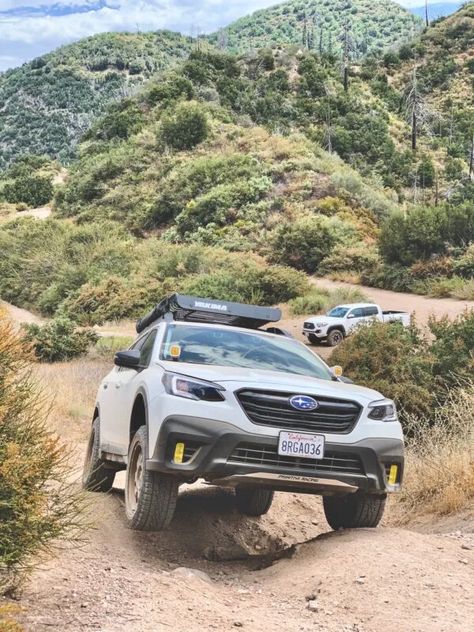 Get Off-Road Ready - Best Subaru Outback Mods Available Subaru Outback Mods, Subaru Outback Accessories, Subaru Outback Lifted, Lifted Subaru, Offroad Accessories, Tire Storage, Off Road Bumpers, Tire Rack, Tent Awning