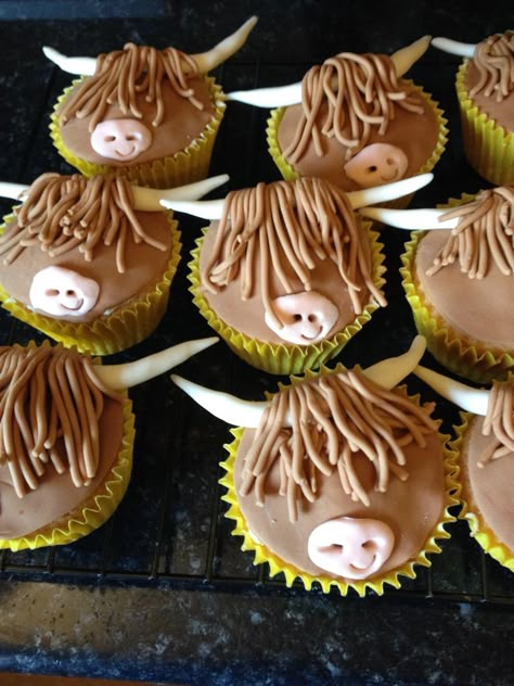 Highland cow cupcakes Scottish Highland Cow Cupcakes, 4-h Cupcakes, Ferdinand Birthday Party Ideas, Farm Cupcakes Ideas, Cow Cupcakes Ideas, Cupcakes Animals, Highland Cow Cupcakes, Farm Cupcakes, Highland Cow Cake