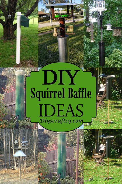 Bird Feeder Poles Ideas Diy, Build A Bird Feeder, Squirrel Obstacle Course Diy, Homemade Squirrel Repellent, Diy Bird Feeder Pole, Squirrel Playground Ideas, Diy Squirrel House, Diy Squirrel Feeder, Squirrel House Diy