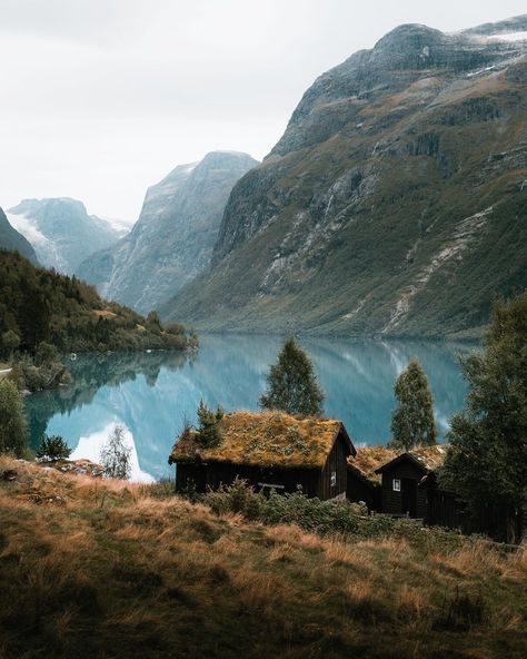 Bear Moodboard, Norway Cabin, Monster Ocs, Norway Roadtrip, Norwegian Cabin, Norway Wedding, Norway House, Norwegian House, Sisters Trip