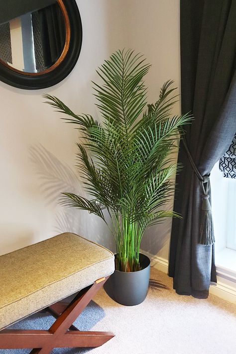 Areca Palm Indoor Living Rooms, Areca Palm Indoor, Oasis Room, Living Room Plants Decor, Outdoor Home Office, Room Decor Minimalist, Real Aesthetic, Dream Closet Design, Palm Green