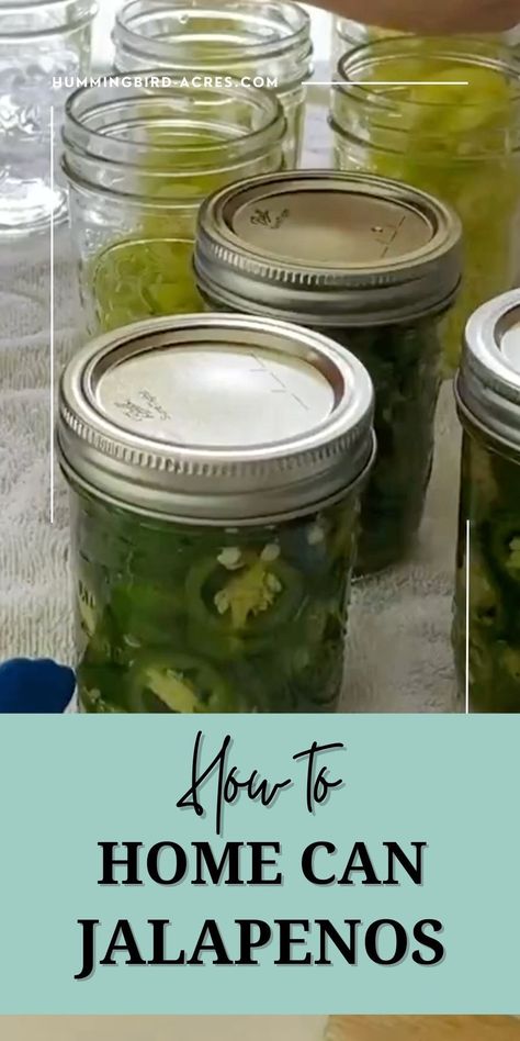 Learn how to can jalapeños in 5 easy methods! From pickling to fermenting, get step-by-step instructions to help you preserve your favorite spicy food. Ready to get started? Click the link and start preserving your jalapeños today! Jalapeño Canning Recipes, Canning Jalapenos, Preserving Jalapenos, Preserving Peppers, Pickled Jalapeno Recipe, Canning Jalapeno Peppers, Canned Jalapenos, Pickled Jalapenos, Easy Canning