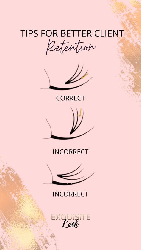 In order to retain your clients you need to learn how to perfectly place a premade fan or lash in there, some tips for instance: Lash Guide, Lash Fan, Lash Fans, Lash Design, Lash Tips, Lash Tech, Lash Extension, For Lash, Lash Extensions