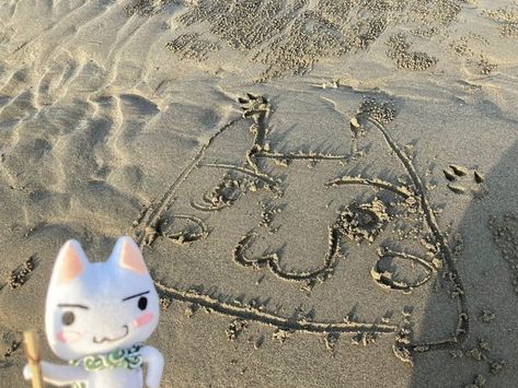 Toro on beach H4to Cat, Inoue Toro, Toro Cat, Banana Shake, Creepy Core, Toro Inoue, Bad Memes, Japan Aesthetic, Cat Icon