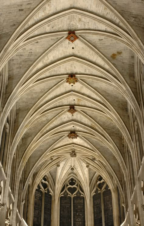 Gothic rib vault ceiling of the Saint-Séverin church in Paris China Symbols, Old Cathedral, Ribbed Vault, Architecture Gothic, Gothic Ideas, Gothic Medieval, Gothic Cathedrals, Gothic Church, Old Architecture