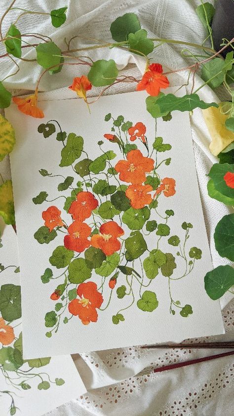 Watercolor Paint Flowers, Flower Paintings Watercolor, Nasturtium Tattoo, Lupine Art, Nasturtium Flower Painting, Nasturtium Art, Nasturtium Painting, Nasturtium Balcony, Nasturtium Illustration