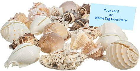 Sea Shell Placecard Holder Set | Cut Shells for Beach Wedding Place Cards | Shells for Wedding or Event Table Decor | Plus Free Nautical Ebook by Joseph Rains (25 Pieces) : Home & Kitchen Event Table Decor, Modern Table Decor, Printable Place Cards, Place Card Holders Wedding, Place Card Holder, Event Display, Event Table, Wedding Reception Tables, Beach Theme Wedding