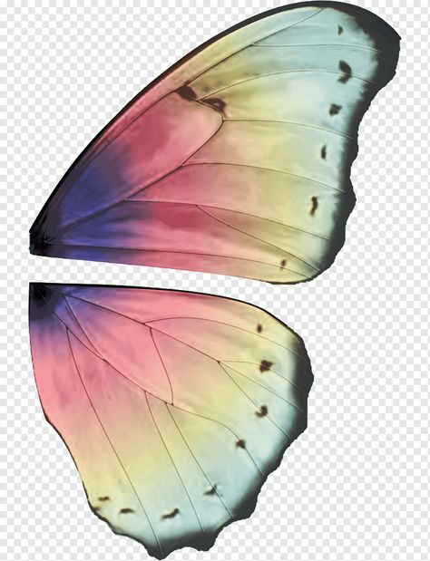 Pin Png, Purple Butterfly Wings, Wings Illustration, Butterfly Halloween Costume, Imprimibles Paw Patrol, Butterfly Place, Butterfly Wings Pattern, Dragonfly Illustration, Butterfly Halloween