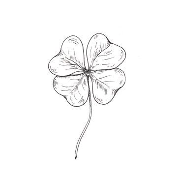 Clover Sketch, Four Leaf Clover Drawing, Shamrock Tattoo, Fingerprint Tattoos, Cousin Tattoos, Four Leaf Clover Tattoo, Black Line Tattoo, Shamrock Tattoos, Leaf Tattoo