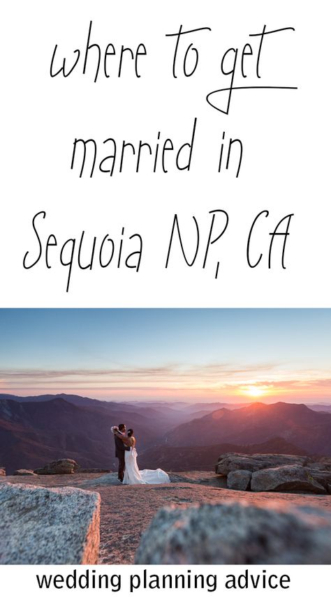 Where to get married in Sequoia National Park... Planning your National Park wedding in California Sequoia National Park Elopement, Sequoia Elopement, Sequoia Wedding, Wedding Planning Boards, Wedding In California, Planning Board, Advice For Bride, Photo Focus, Photography Advice