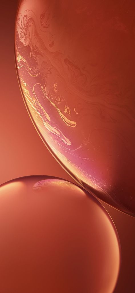 Iphone Xr Wallpaper, Wallpaper Cantik Iphone, Xr Wallpaper, Apple Iphone Wallpaper Hd, Coral Wallpaper, 3d Wallpaper Iphone, Handy Wallpaper, Wallpaper Homescreen, Wallpaper Iphone Lucu