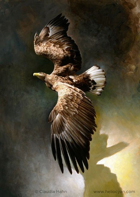 Affiche eagle fine art print 'Stormbringer' eagle - Etsy France Eagle Poster, White Tailed Eagle, Animals Painting, Aztec Warrior, Painting Competition, Animal Reference, Awesome Animals, Scientific Illustration, Acrylic On Paper