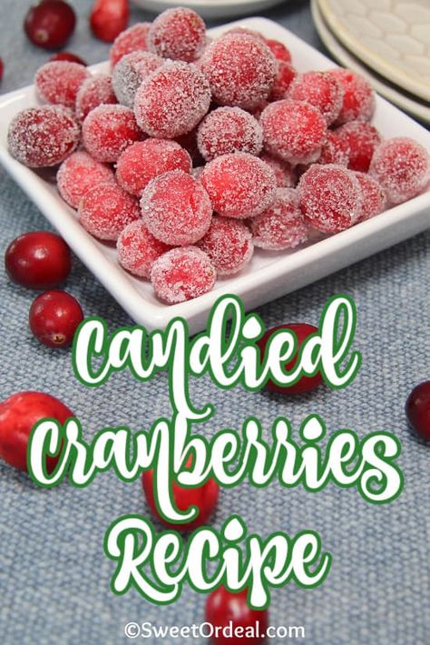 Candied Cranberries Recipe, Dessert Garnish, Thanksgiving List, Christmas Menus, 3 Ingredient Recipe, Cranberry Smoothie, Candied Cranberries, Favorite Holiday Desserts, Tasty Desserts