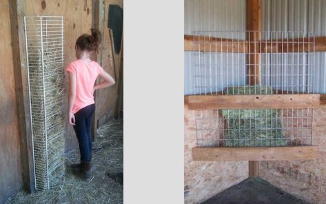 Horse Feeder Diy, Horse Stalls Diy, Horse Slow Feeder, Diy Hay Feeder, Hay Feeder For Horses, Horse Feeder, Horse Shed, Horse Hay, Animal Treats