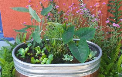 How She Did It: Huge Planters Overflow With Seasonal Color Pond Container Ideas, Stock Tank Pond Ideas Water Garden, Stock Tank Fish Pond Ideas, Stock Tank Water Garden, Stock Tank Water Feature, Stock Tank Koi Pond, Stock Tank Pond Ideas, Landscape With Pots, Stock Tank Fish Pond